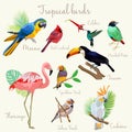 Bright color Exotic tropical birds set Royalty Free Stock Photo