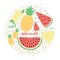 Bright color fresh fruits emblem: watermelon, lemon, pineapple.