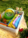Bright color summer picnic accessories Royalty Free Stock Photo