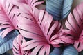 Bright color tropical leaves against a blue sky. Pastel tone background