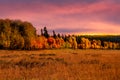 Bright colored autumn trees in Gran tetons national park