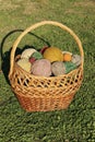 Bright, colored, beautiful balls of yarn for knitting spokes In a wicker basket.