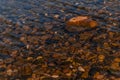 bright colored blue gold red orange small pebbles in clear water sparkles in sun, coast lake Baikal Royalty Free Stock Photo