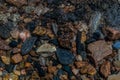 bright colored blue gold small pebbles in clear water sparkles in the sun, coast baikal Royalty Free Stock Photo