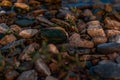 Bright colored blue gold small pebbles in clear water sparkles in sunset, lake baikal Royalty Free Stock Photo