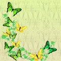 Bright colored butterflies on floral abstraction background