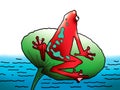Red frog resting on green leaf