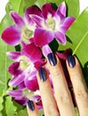 Bright colored photo of fingernails with manicure