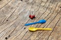 bright colored plastic spoons Blue and yellow, placed on a wooden table with red Calabura, Jamaican cherry, Malayan Cherry, West Royalty Free Stock Photo