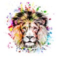 Bright colorful art with lion head design concept