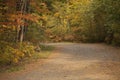 Bright and colorful autumn foliage by the dirt road in the woods Royalty Free Stock Photo