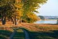 Bright colorful autumn landscape at sunset - forest road between the trees and beautiful sunlight Royalty Free Stock Photo