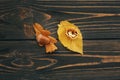 Bright colorful autumn leaves with acorn and nut on rustic wooden table, flat lay. Fall image. Harvest time. Happy Thanksgiving.