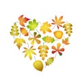 Bright Colorful Autumn Leaves Heart For Design On White, Stock Vector Illustration