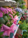 bright colorful beautiful flowers on the shelves