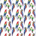 Bright colorful beautiful lovely sophisticated jungle tropical yellow, green, red and blue big tropical parrots and little green t Royalty Free Stock Photo