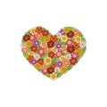 Bright colorful bouquet of flower primroses in the shape of a heart. Vector illustration. Royalty Free Stock Photo