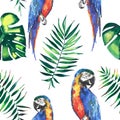 Bright colorful cute beautiful jungle tropical yellow and blue big parrots with green palm leaves pattern watercolor hand illustra Royalty Free Stock Photo