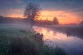 Bright colorful dawn on river side. Summer nature at sunrise. Riverbank nature in vivid morning. Scenic sky over river