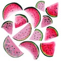 Bright colorful delicious tasty yummy ripe juicy cute lovely red summer fresh dessert slices of watermelon pat