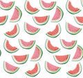 Bright colorful delicious tasty yummy ripe juicy cute lovely red summer fresh dessert slices of watermelon pattern