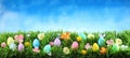 Colorful Easter eggs on green grass with flowers against blue sky Royalty Free Stock Photo