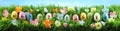 Bright colorful Easter eggs on green grass with flowers Royalty Free Stock Photo
