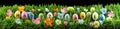 Bright colorful Easter eggs on green grass with flowers Royalty Free Stock Photo