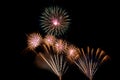 Bright and colorful fireworks against a black night sky.Fireworks for new year. Royalty Free Stock Photo