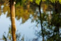 Bright colorful fishing bobber floats in water surface of lake, river with trees reflection. Weekend holiday leisure