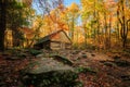Bright Colorful Forest Abandoned Location Barn Wooden Rocky Path Nowhere Empty Nobody Fall Autumn Colors Royalty Free Stock Photo