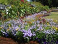 Bright colorful springtime perennial garden at Stanley Park Royalty Free Stock Photo