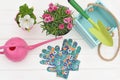 Bright colorful garden tools and flowers in pots Royalty Free Stock Photo