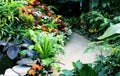 Bright and Colorful Indoor Gardens