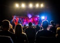 Crowd at music concert, people silhouettes backlit by stage lights.