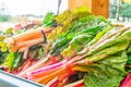 Bright, colorful orange, green, white and red swiss chard, with green leaves, in bundles, being sold at a farmer`s market