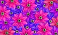 Bright colorful ornament of summer flowers.