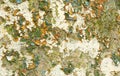 Bright colorful painted concrete closeup. weathered textured background.