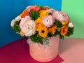 Bright colorful pink yellow orange persian asian buttercup ranunculus asiaticus bouquet flowers in round box Royalty Free Stock Photo