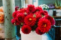 Bright and colorful red flowers for sale at the Seattle Pike's Market farmer's market outdoors Royalty Free Stock Photo