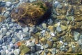 Bright colorful rocks under water