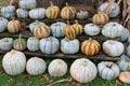 Bright and colorful shapes and sizes of pumpkins and squash on benches at outdoor section of farmers market Royalty Free Stock Photo