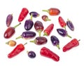 Bright colorful small spicy hot pepper pods