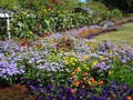 Bright colorful springtime perennial garden at Stanley Park Royalty Free Stock Photo