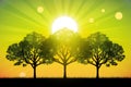 Bright colorful summer spring landscape with trees silhouettes on field, grass on meadow and sunlight at sunset. Created with Royalty Free Stock Photo