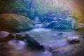 Bright Colorful Sunlight Rays over a Small Creek River in the Empty Natural Forest Royalty Free Stock Photo