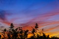 Bright colorful sunset the sea with beautiful clouds Royalty Free Stock Photo