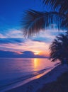 Bright colorful sunset on the shore of a tropical sea, silhouettes of palm trees against the sky, tropical paradise Royalty Free Stock Photo