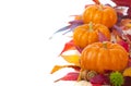 Bright and Colorful Thanksgiving or Halloween, Fall Mini Pumpkins in a Line or Row with Fall Leaves on White Background