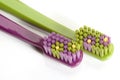 Bright colorful toothbrushes with selective focus on a white background. Royalty Free Stock Photo
